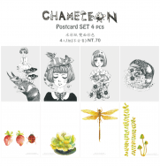 【原創明信片】CHAMELEON postcard