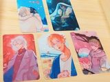 【厭世醫師阿萬】星星亮膜萬狗豹貓瓦小卡