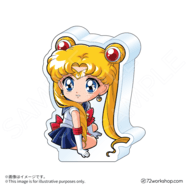 飯友壓克力 #sailormoonredraw
