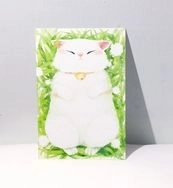 懶洋洋小白貓 /雙面明信片postcard