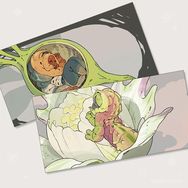 昆蟲少女 綠灰蝶/閃灰蝶 長型畫卡