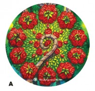 羊人白日夢系列-花園吸水杯墊A款
