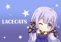 LACECATS -蕾絲貓-