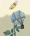 鍊花蝴蝶