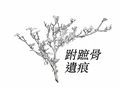 跗蹠骨遺痕