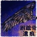 跗蹠骨遺痕