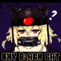 SHY BLACK CAT 害羞的黑貓