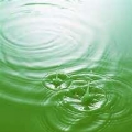 淚，若雨下。