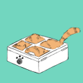 喵箱會議 MeowBox